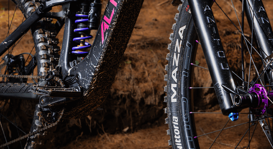 Arya di Alpek motore