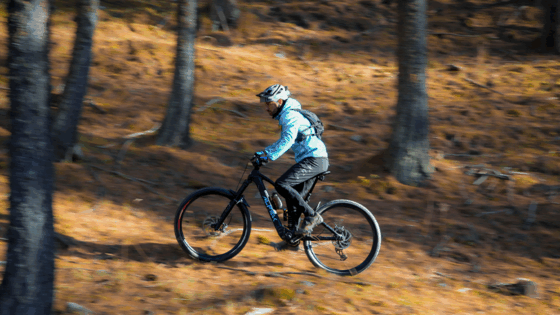 Arya e-mtb in carbonio di Alpek