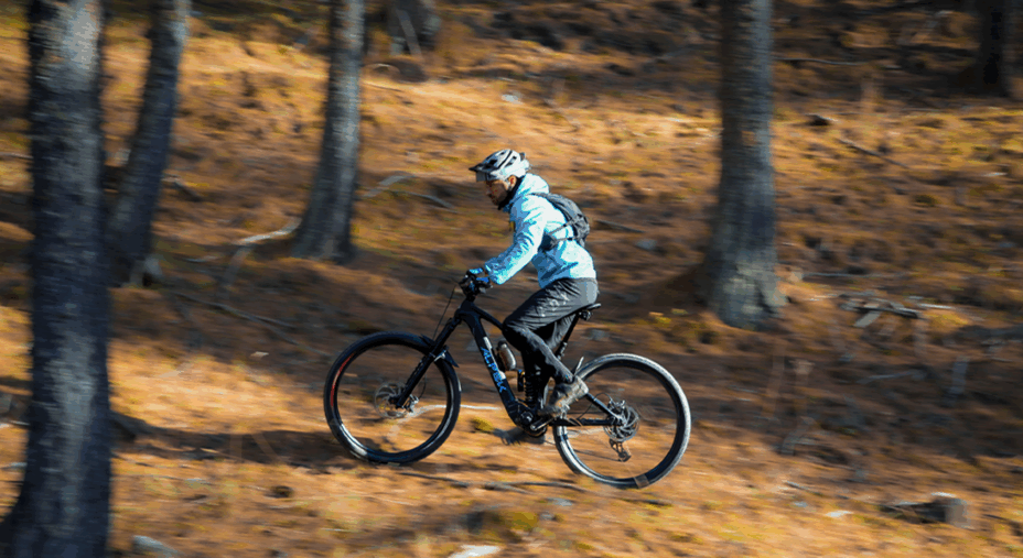 Arya e-mtb in carbonio di Alpek