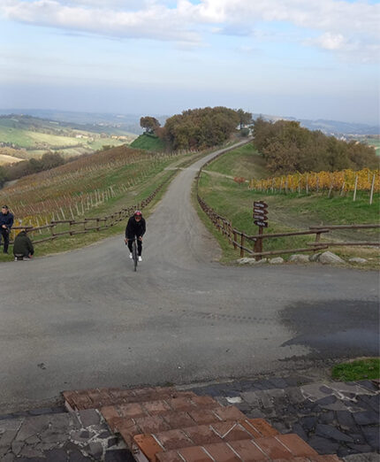 Le colline di vitigni attorno a Salsomaggiore sono perfette per la promozione del cicloturismo