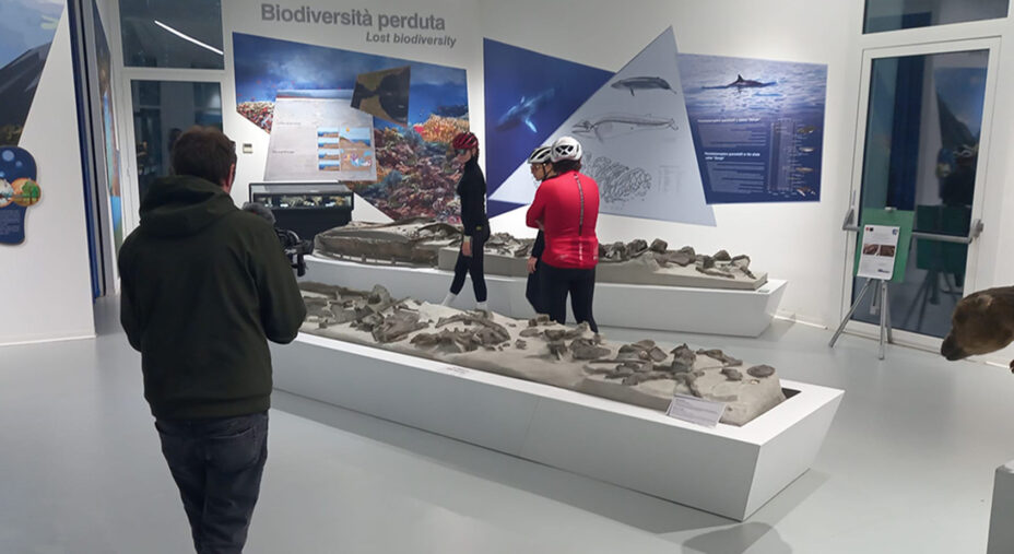 Il Museo Mare Antico Biodiversità di San Nicomede sarà raggiungibile da una ciclabile