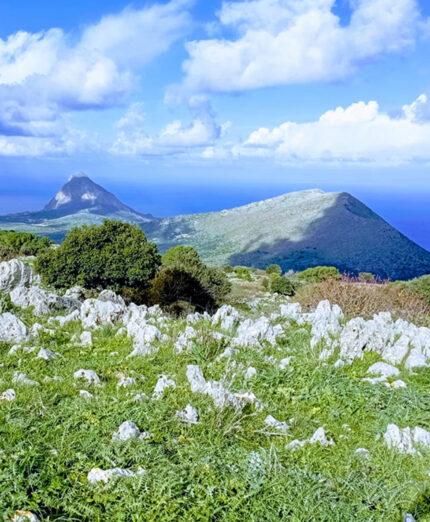 I panorami che il territorio trapanese può regalare sono straordinari in qualsiasi stagione