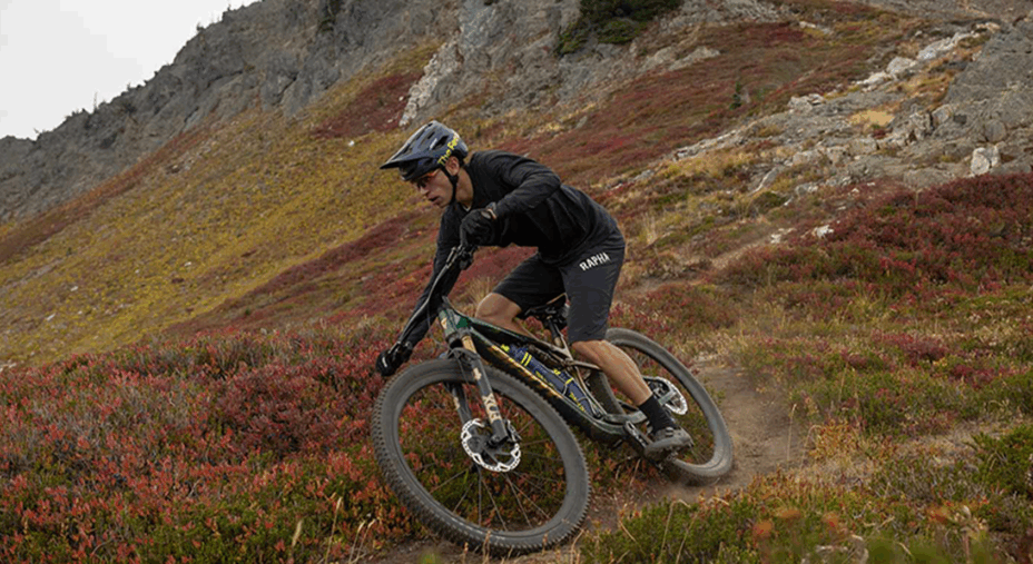 Anthem X Advanced SL di Giant