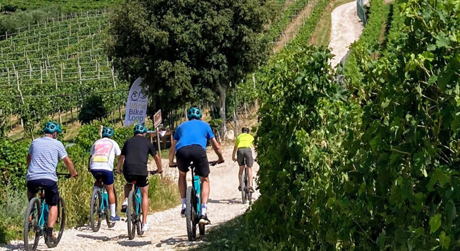 Tra i vigneti di Soave, terra di vini pregiati e di straordinario sapore, ma anche ideale per uscite anche offroad