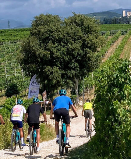 Tra i vigneti di Soave, terra di vini pregiati e di straordinario sapore, ma anche ideale per uscite anche offroad