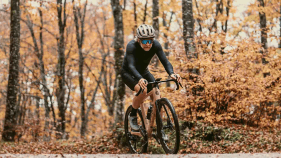 Ornus Grain, gravel, bici gravel in legno