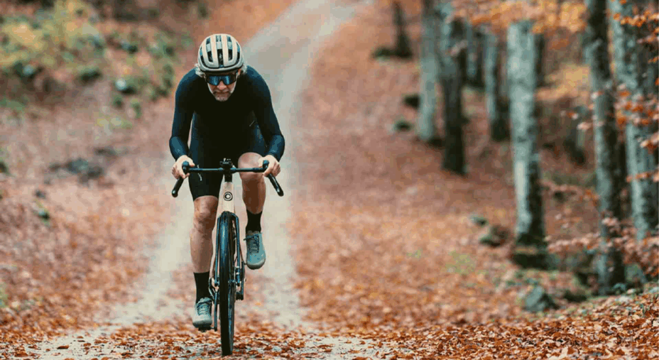 Ornus Grain, gravel, bici gravel in legno