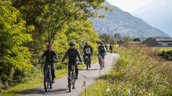 ERSAF (foto Juri Baruffaldi)