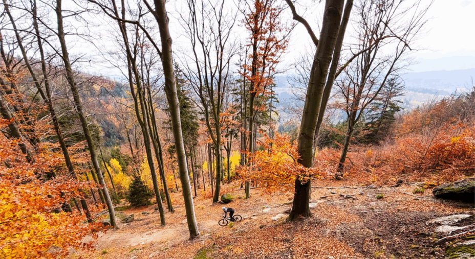 Repubblica Ceca, mountain bike