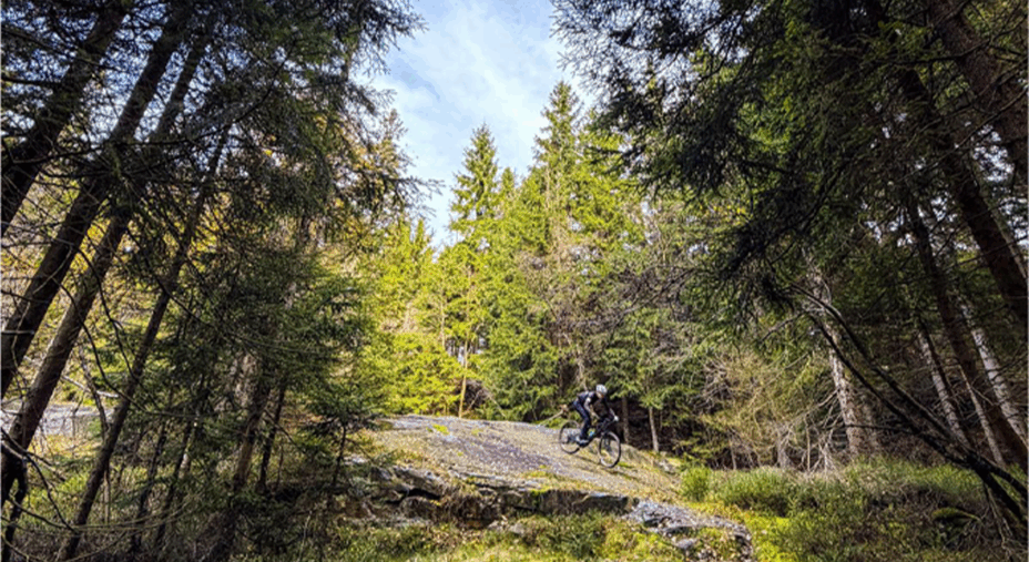 Repubblica Ceca, mountain bike