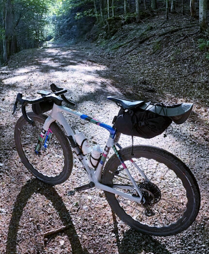 Marco Aurelio Fontana, Gravel