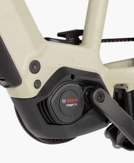 Riese&Muller, Multicharger3, e-cargo bike