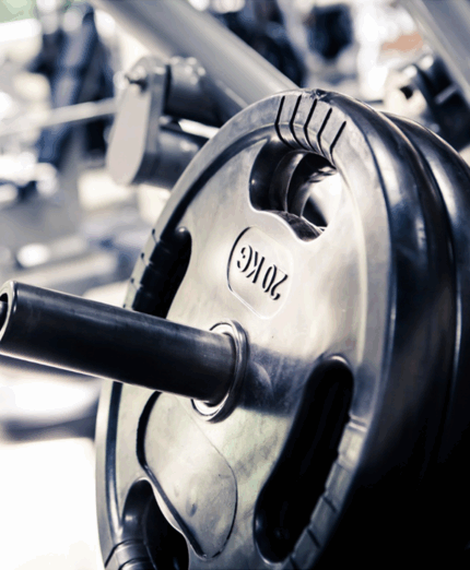 Palestra, pesi, carichi, (Depositphotos.com)