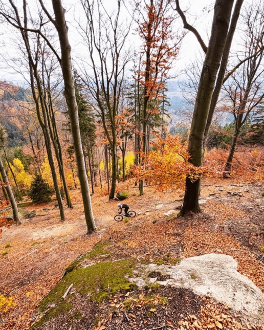 Repubblica Ceca, mountain bike