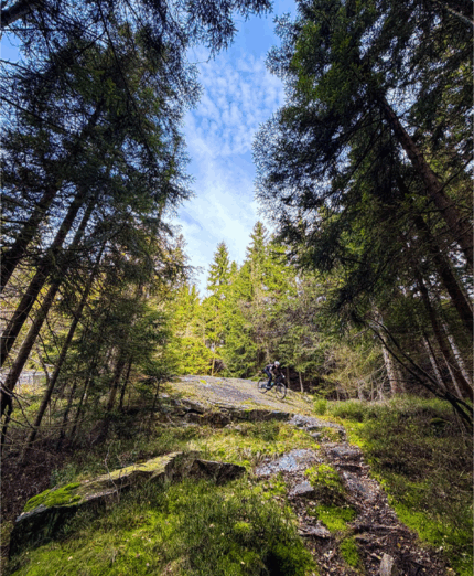 Repubblica Ceca, mountain bike