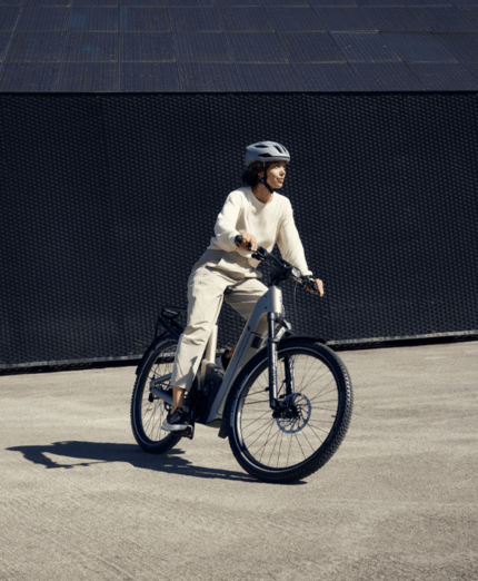 Riese & Muller, Homage5