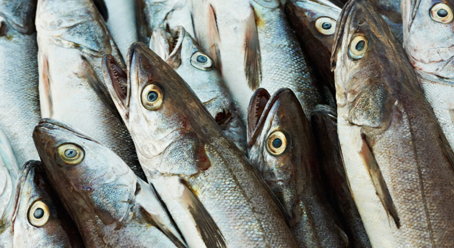 Alimentazione, pesce, merluzzo (depositphotos.com)