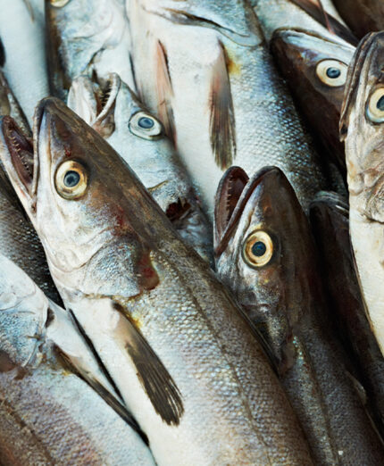 Alimentazione, pesce, merluzzo (depositphotos.com)