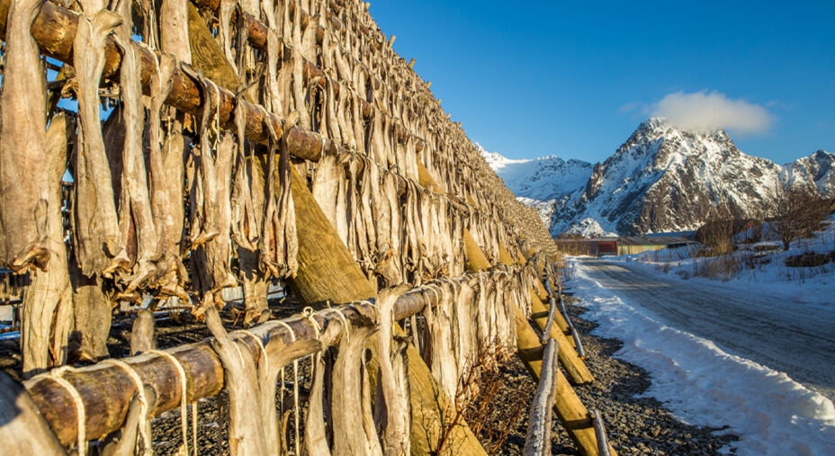 Alimentazione, pesce, merluzzo, stoccafisso (depositphotos.com)