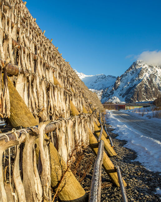 Alimentazione, pesce, merluzzo, stoccafisso (depositphotos.com)