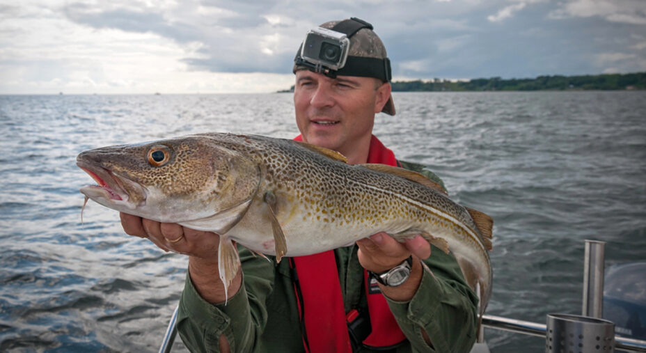 Alimentazione, pesce, merluzzo, pescatore (depositphotos.com)