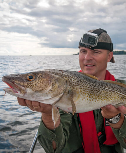 Alimentazione, pesce, merluzzo, pescatore (depositphotos.com)