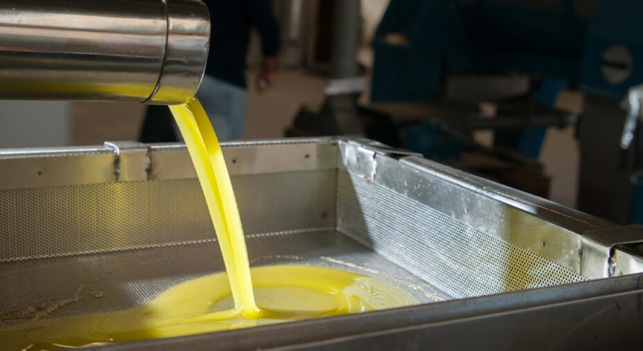 Dopo la molitura, l'olio sgorga in una vasca per l'ultimo filtraggio (depositphotos.com)