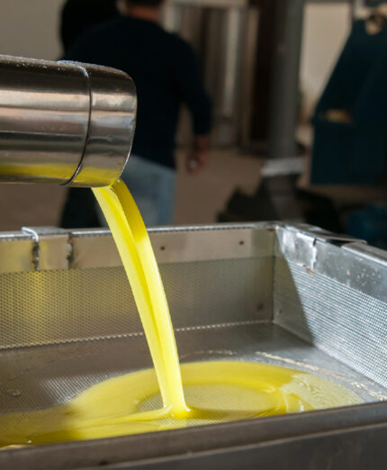 Dopo la molitura, l'olio sgorga in una vasca per l'ultimo filtraggio (depositphotos.com)