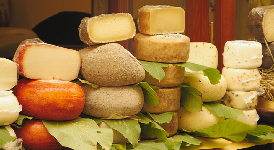 Alimentazione, formaggio, tradizione, pecorino, pecora (depositphotos.com)