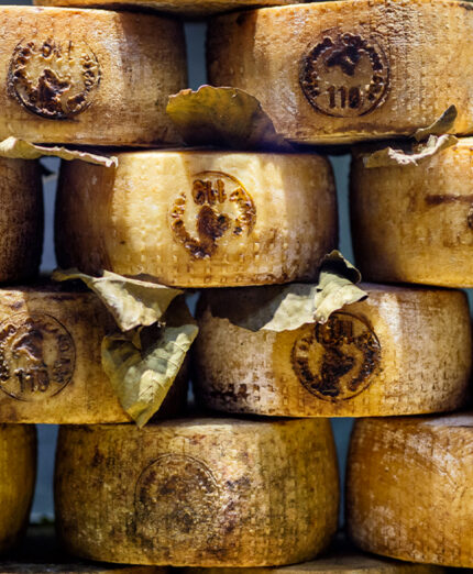 Il Pecorino di Pienza è prodotto in Val d’Orcia e stagionato in grotte (depositphotos.com)