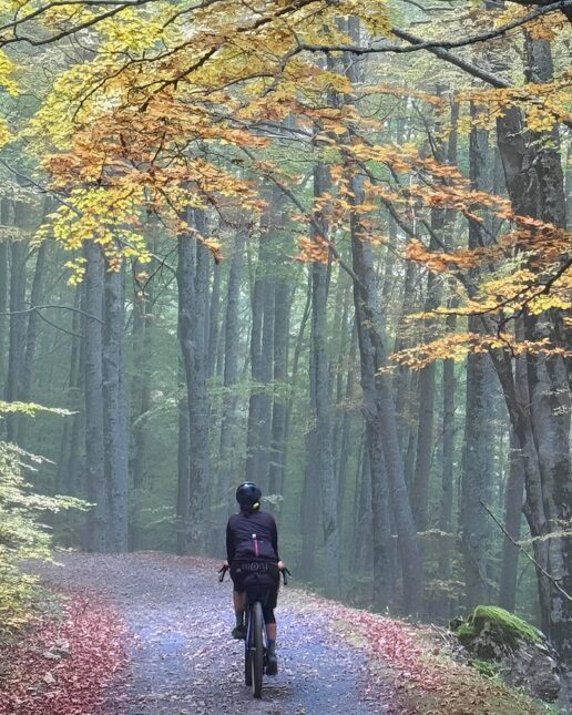 Pollino-Sybaris, bikepacking nel bosco