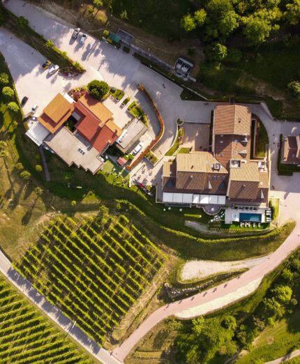 Salita Muro Ca' del Poggio, vigneti