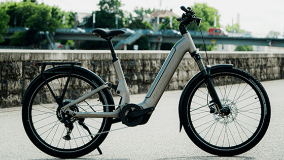 Tavano Pro Wave di Raymon