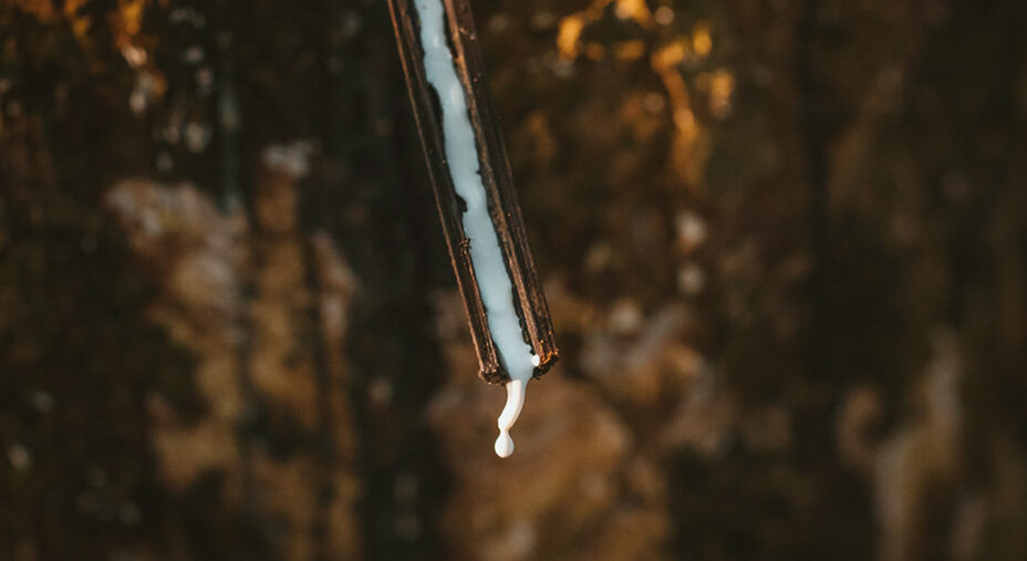 Il caucciù utilizzato da Schwalbe proviene principalmente dalle piantagioni in Indonesia