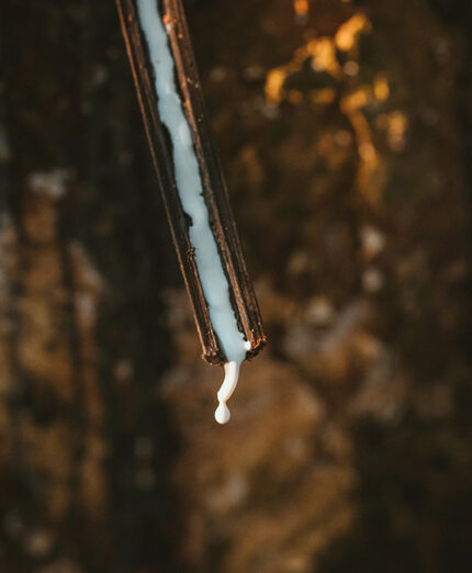 Il caucciù utilizzato da Schwalbe proviene principalmente dalle piantagioni in Indonesia