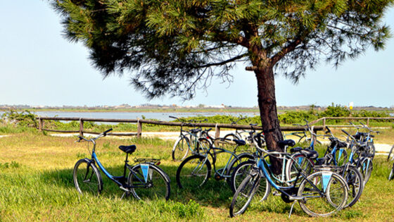 Veneto: la nuova frontiera del cicloturismo italiano