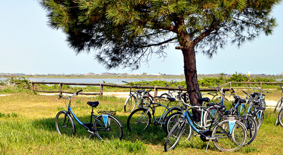 Veneto: la nuova frontiera del cicloturismo italiano