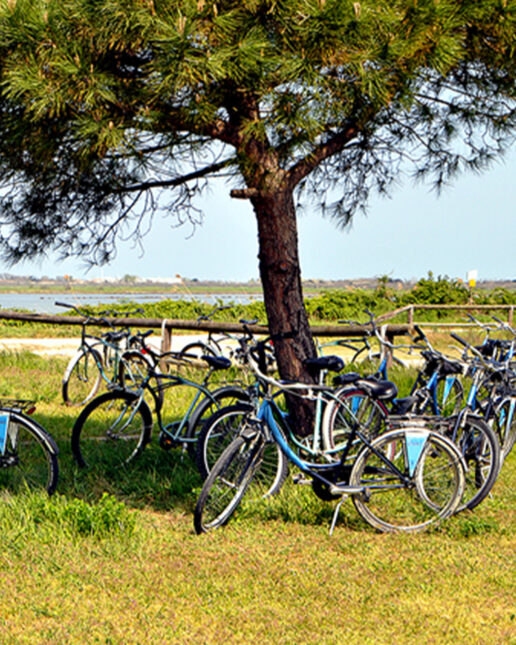 Veneto: la nuova frontiera del cicloturismo italiano