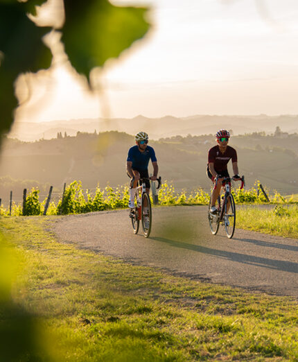 I vigneti sono il filo conduttore del territorio, lo sfondo perfetto per grandi pedalate