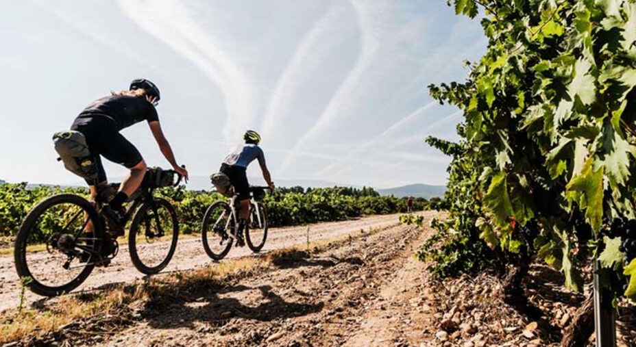 Bertero ha le idee chiare: la promozione verterà soprattutto sul mondo gravel