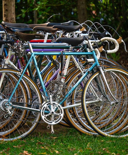 La ricerca delle bici più adatte per l'Eroica ha rimesso in moto un meccanismo florido (foto Paolo Penni Martelli)