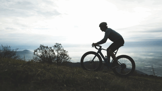 3T, motore, Mahle X-20, gravel