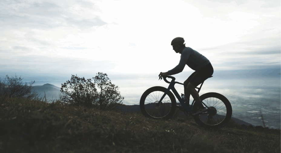 3T, motore, Mahle X-20, gravel