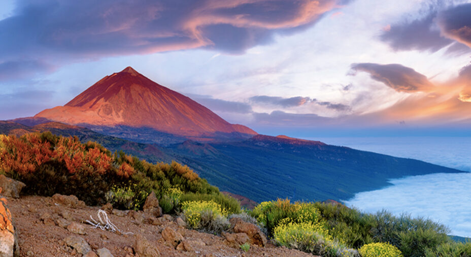 Magma Aurum Tenerife