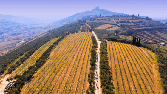 Granfondo Tre Valli, Verona