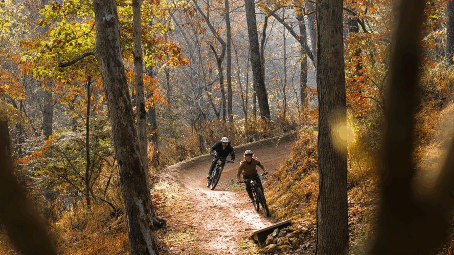 Vittoria, Trail, gamma Trail, mtb, e-mtb