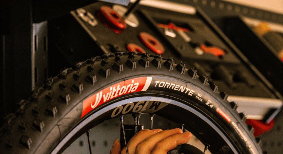 Vittoria, Trail, gamma Trail, mtb, e-mtb