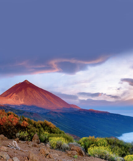 Magma Aurum Tenerife