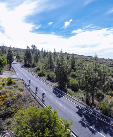 Magma Aurum Tenerife