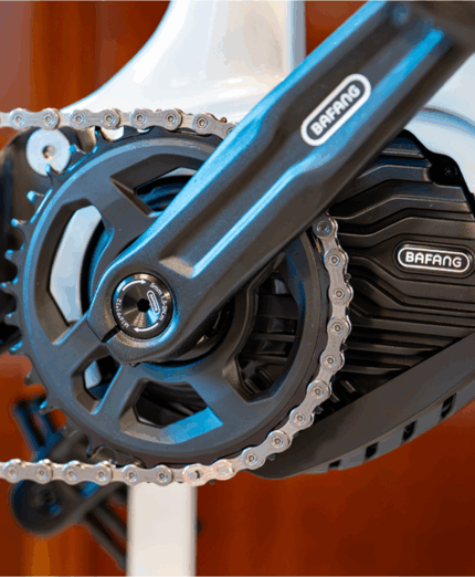 WD99, Forest, Bafang